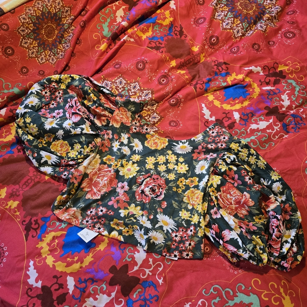 Zara puff sleeve floral crop top